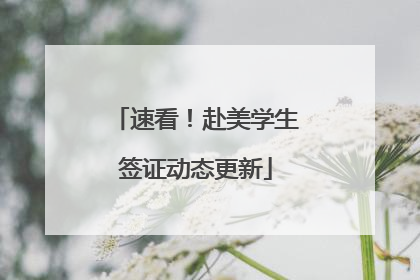 速看！赴美学生签证动态更新