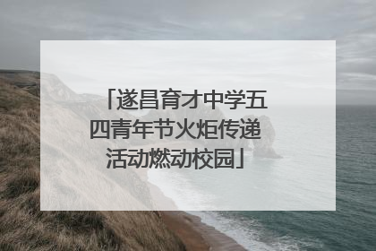 遂昌育才中学五四青年节火炬传递活动燃动校园