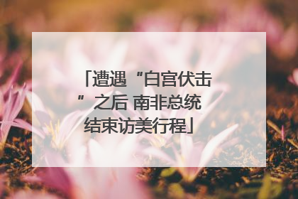 遭遇“白宫伏击”之后 南非总统结束访美行程