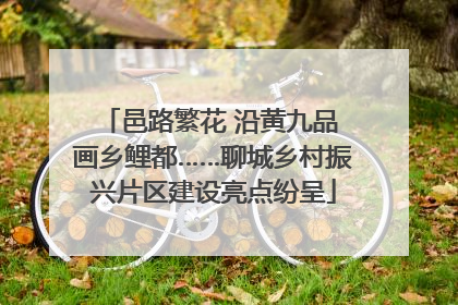 邑路繁花 沿黄九品 画乡鲤都……聊城乡村振兴片区建设亮点纷呈