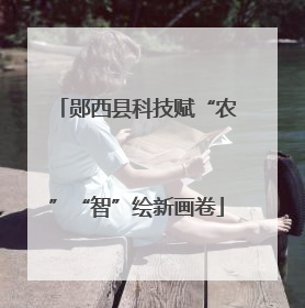 郧西县科技赋“农”“智”绘新画卷