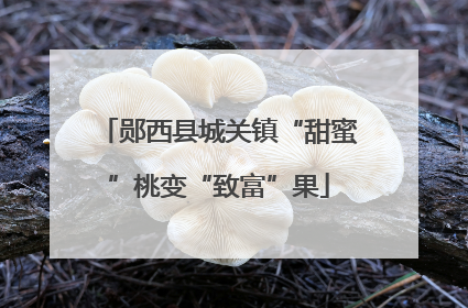郧西县城关镇“甜蜜”桃变“致富”果