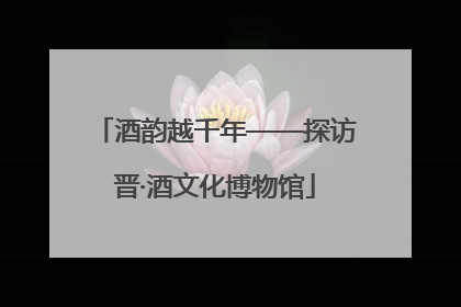 酒韵越千年——探访晋·酒文化博物馆
