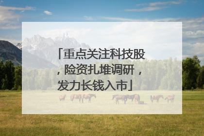 重点关注科技股，险资扎堆调研，发力长钱入市