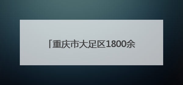 重庆市大足区1800余名基干民兵集中接受点验