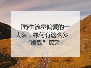 野生流量偏爱的一大队，缘何有这么多“爆款”民警