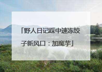 野人日记踩中速冻饺子新风口：加魔芋