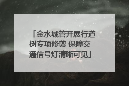 金水城管开展行道树专项修剪 保障交通信号灯清晰可见