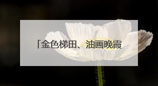 金色梯田、油画晚霞……6月，来海南看这些限定风景吧！
