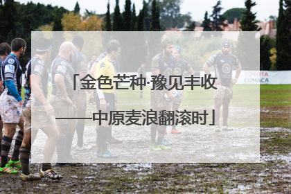 金色芒种·豫见丰收——中原麦浪翻滚时
