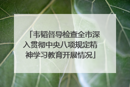 韦韬督导检查全市深入贯彻中央八项规定精神学习教育开展情况