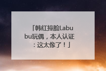 韩红撞脸Labubu玩偶，本人认证：这太像了！