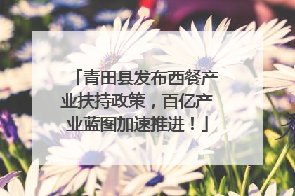 青田县发布西餐产业扶持政策，百亿产业蓝图加速推进！