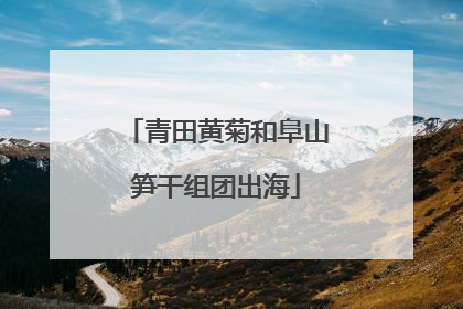 青田黄菊和阜山笋干组团出海