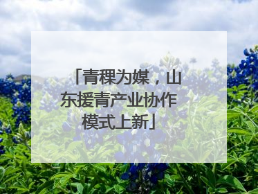 青稞为媒，山东援青产业协作模式上新