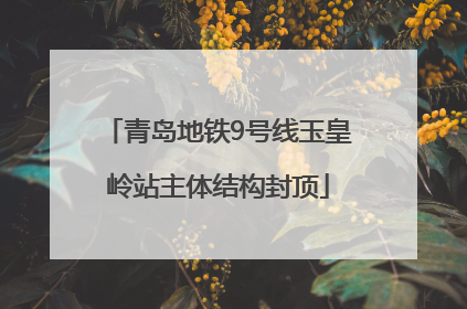 青岛地铁9号线玉皇岭站主体结构封顶
