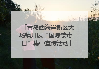 青岛西海岸新区大场镇开展“国际禁毒日”集中宣传活动