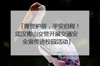 青警护苗，平安启程！武汉青山交警开展交通安全宣传进校园活动