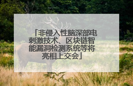非侵入性脑深部电刺激技术、区块链智能漏洞检测系统等将亮相上交会