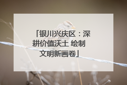银川兴庆区：深耕价值沃土 绘制文明新画卷