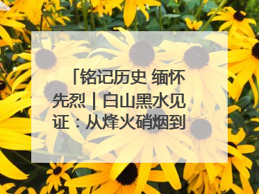 铭记历史 缅怀先烈｜白山黑水见证：从烽火硝烟到振兴热土的巨变
