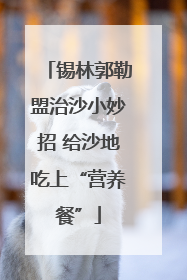 锡林郭勒盟治沙小妙招 给沙地吃上“营养餐”