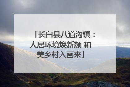 长白县八道沟镇：人居环境焕新颜 和美乡村入画来