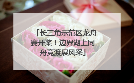长三角示范区龙舟赛开桨！边界湖上同舟竞渡展风采