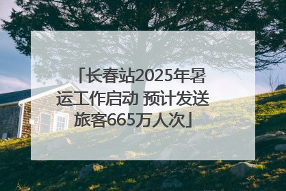 长春站2025年暑运工作启动 预计发送旅客665万人次