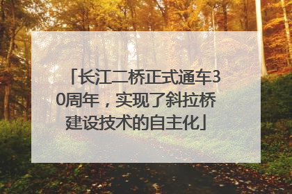 长江二桥正式通车30周年，实现了斜拉桥建设技术的自主化