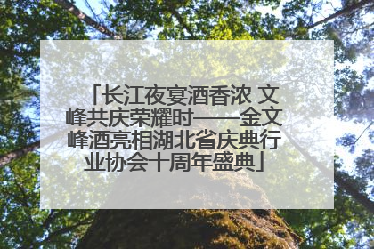 长江夜宴酒香浓 文峰共庆荣耀时——金文峰酒亮相湖北省庆典行业协会十周年盛典