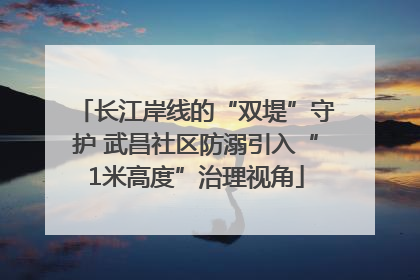 长江岸线的“双堤”守护 武昌社区防溺引入“1米高度”治理视角