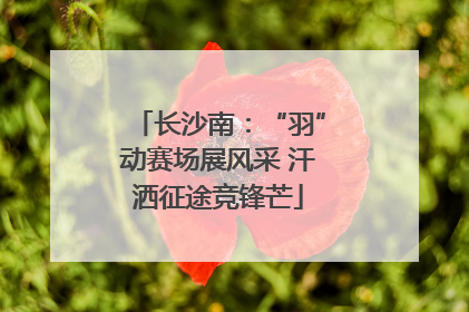 长沙南：“羽”动赛场展风采 汗洒征途竞锋芒