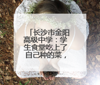 长沙市金阳高级中学：学生食堂吃上了自己种的菜，还出现了一批劳动能手