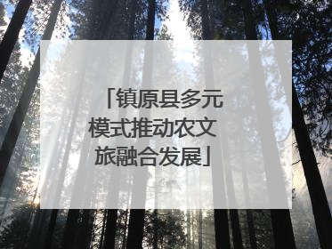 镇原县多元模式推动农文旅融合发展