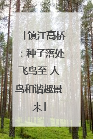 镇江高桥：种子落处飞鸟至 人鸟和谐趣景来