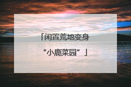闲置荒地变身“小鹿菜园”