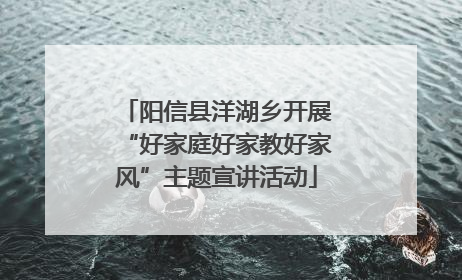 阳信县洋湖乡开展“好家庭好家教好家风”主题宣讲活动