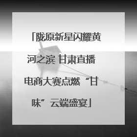 陇原新星闪耀黄河之滨 甘肃直播电商大赛点燃“甘味”云端盛宴