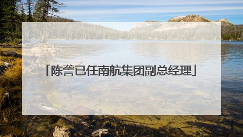 陈詟已任南航集团副总经理
