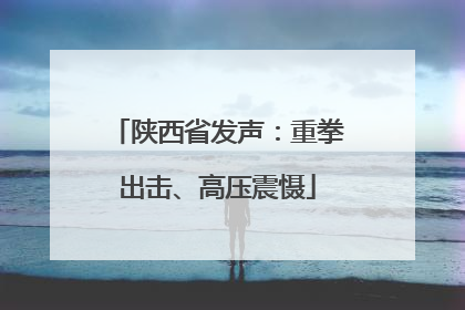陕西省发声：重拳出击、高压震慑