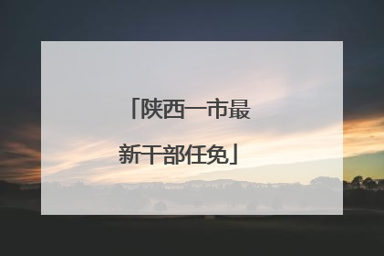 陕西一市最新干部任免