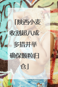陕西小麦收割超八成 多措并举确保颗粒归仓