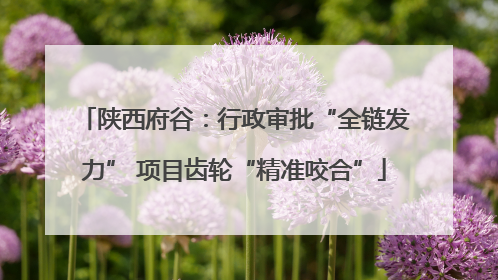 陕西府谷：行政审批“全链发力” 项目齿轮“精准咬合”