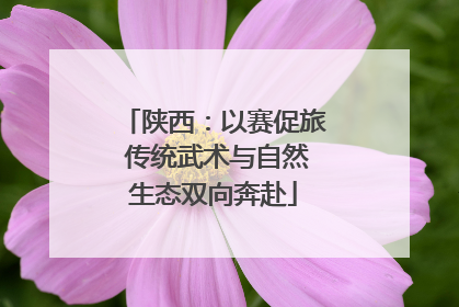 陕西：以赛促旅 传统武术与自然生态双向奔赴