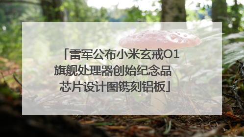 雷军公布小米玄戒O1旗舰处理器创始纪念品 芯片设计图镌刻铝板