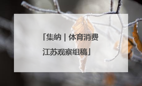 集纳｜体育消费江苏观察组稿