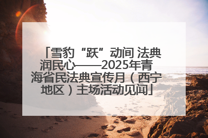 雪豹“跃”动间 法典润民心——2025年青海省民法典宣传月（西宁地区）主场活动见闻