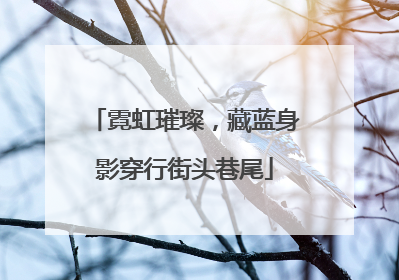 霓虹璀璨，藏蓝身影穿行街头巷尾