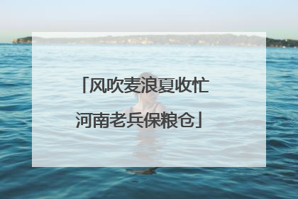 风吹麦浪夏收忙 河南老兵保粮仓